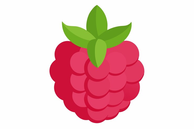 Vector raspberry clipart cartoon style vector illustration