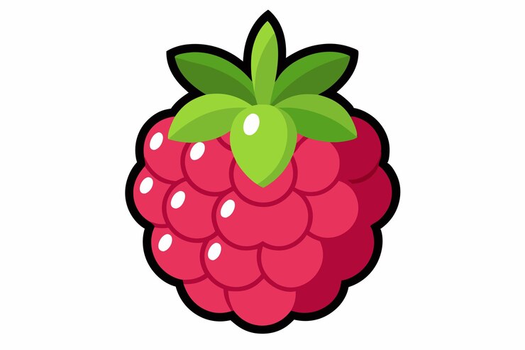 Vector raspberry clipart cartoon style vector illustration