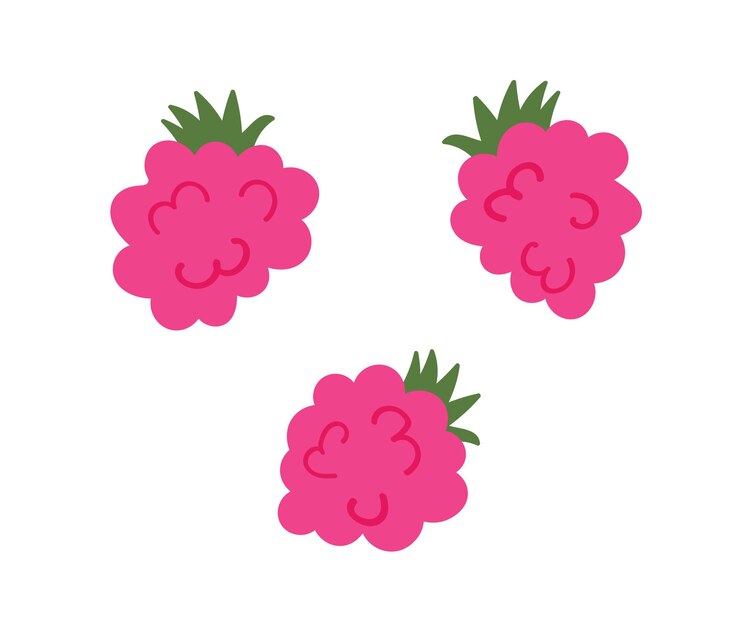Vector raspberry cute handdrawn set cartoon flat style isolated on white background
