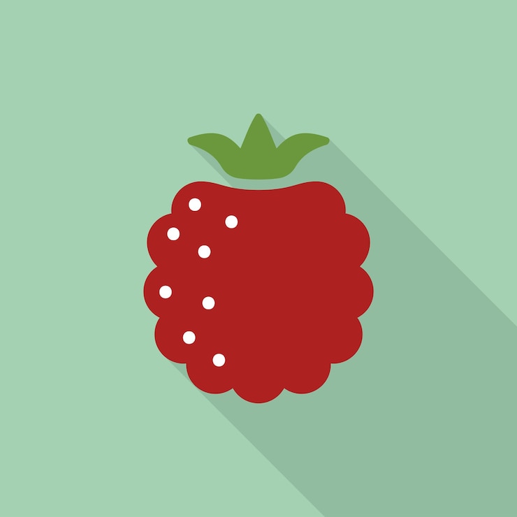 Vector raspberry flat icon with shadow