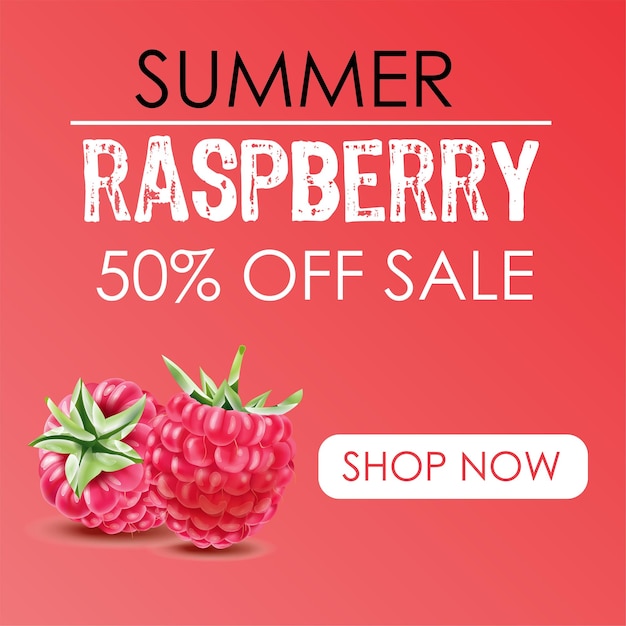 raspberry fruit sales banner