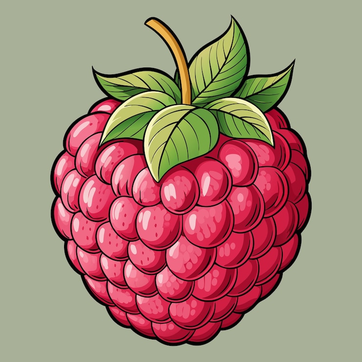 Vector raspberry fruit vector illustration artwork