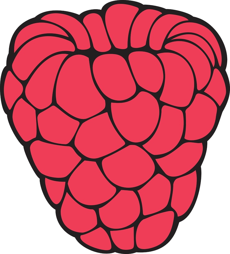 Vector raspberry fruit