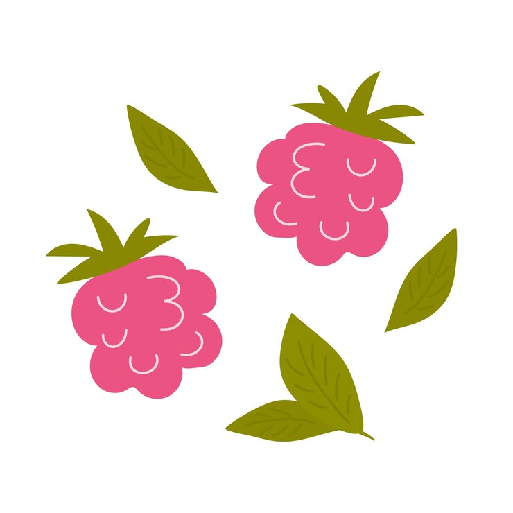 Vector raspberry and green tea leaves on white background