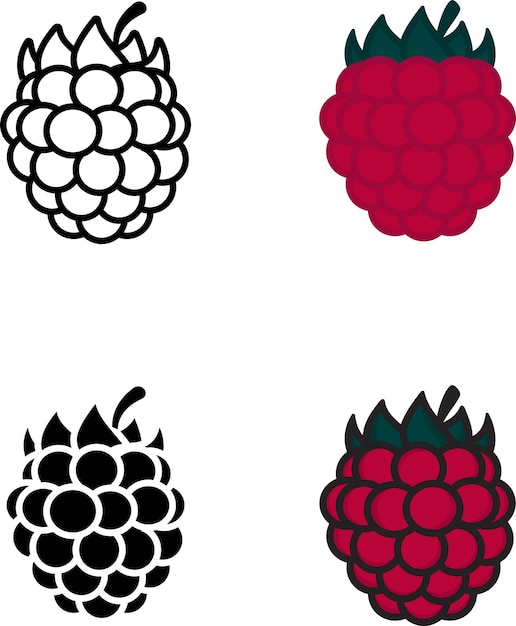 Raspberry icon set