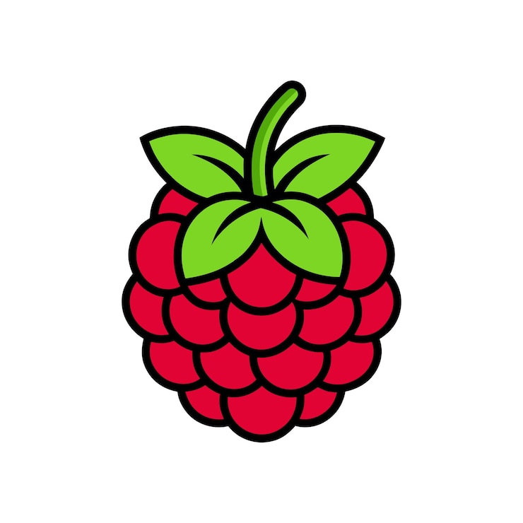 Vector raspberry icon vector illustration on white background