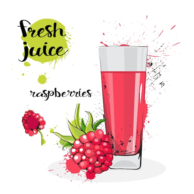 Vector raspberry juice fresh hand drawn watercolor fruits and glass on white background