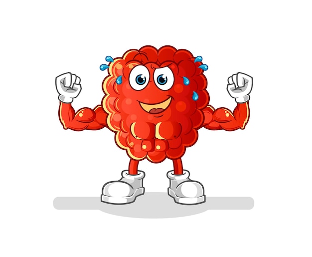 Raspberry muscular cartoon. cartoon mascot vector