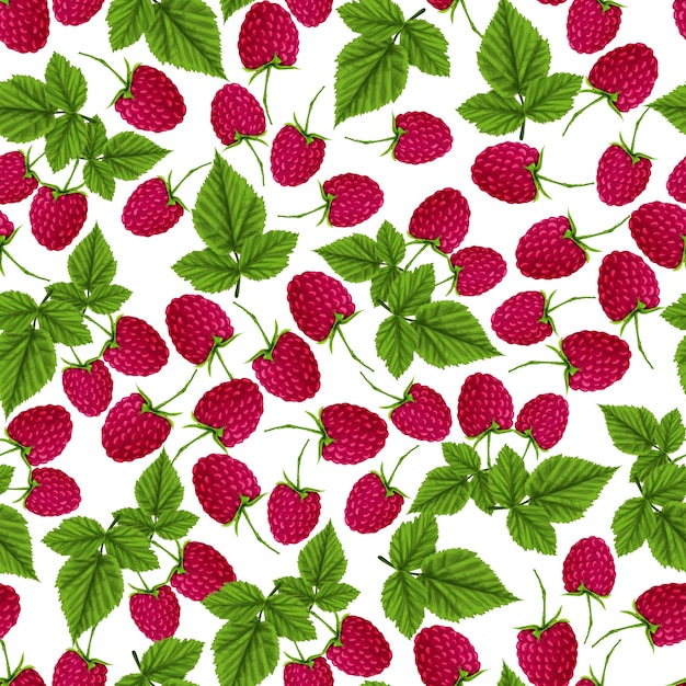 Vector raspberry pattern design
