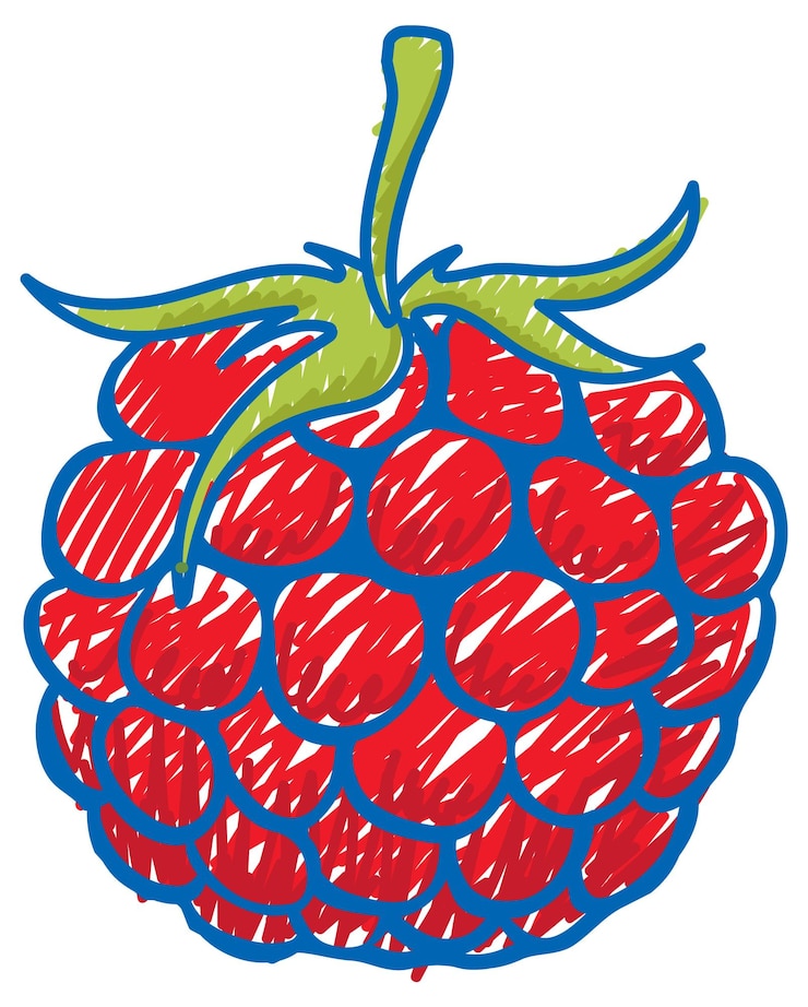 Vector raspberry pencil colour child scribble style