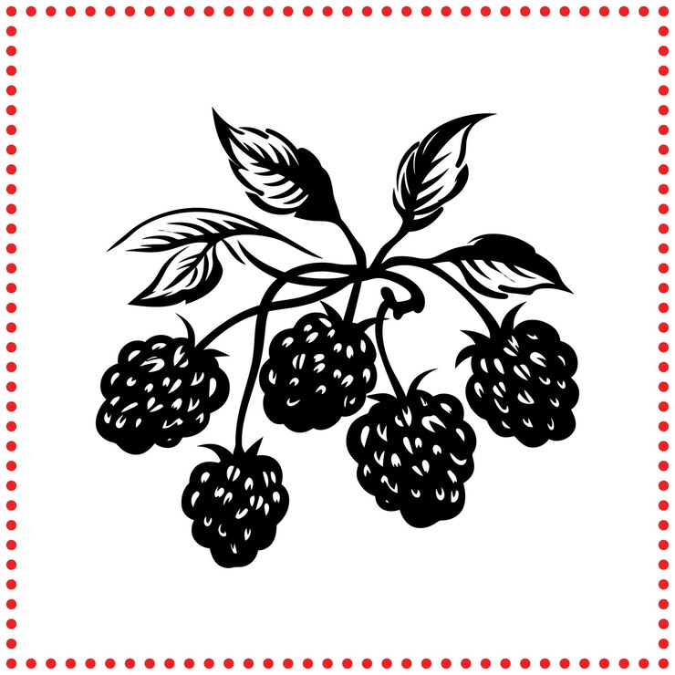 Vector raspberry perfection a silhouette that captures the essence of fresh fruit