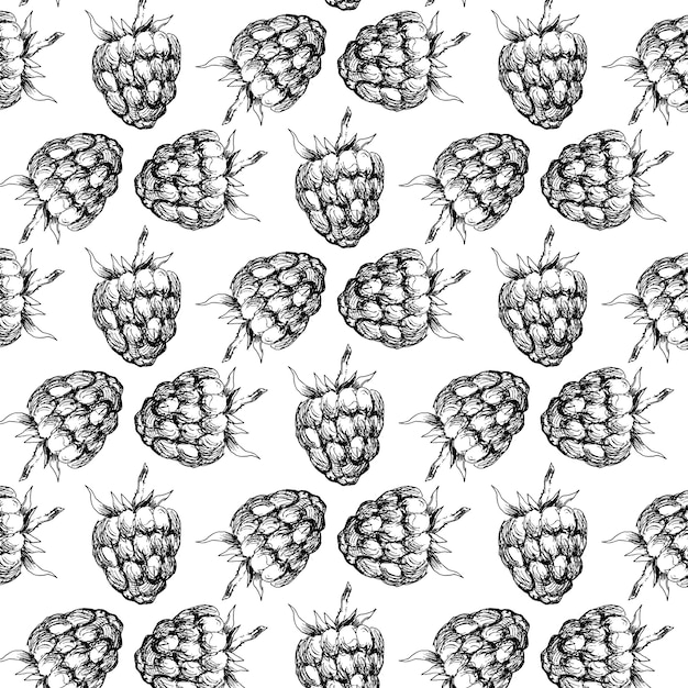 Seamless pattern di lampone