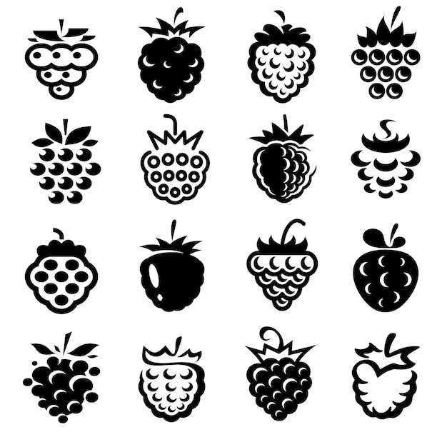 Raspberry set Collection icon raspberry Vector