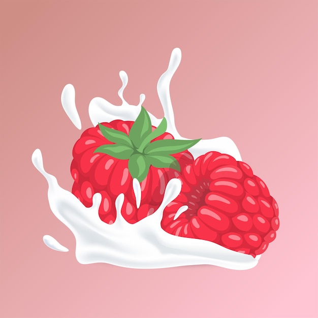 Vector raspberry and splash of white liquid cartoon illustration natural organic