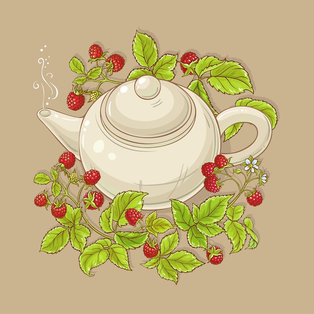 Raspberry tea illustration