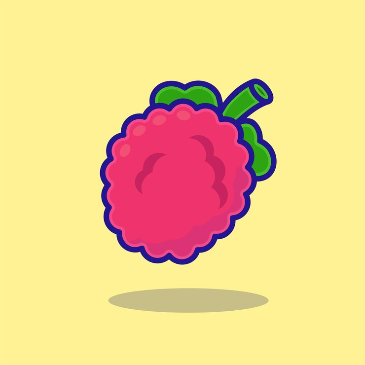 Vector raspberry vector illustration logo cartoon cute fruit berries