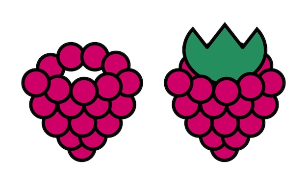 Raspberry, vector. Pink raspberry on a white background.