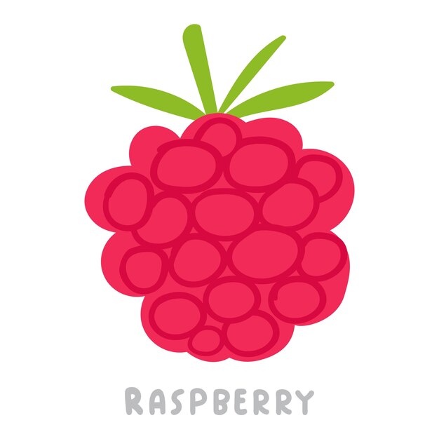 Raspberry Vector plat ontwerp Voedsel illustratie op witte achtergrond