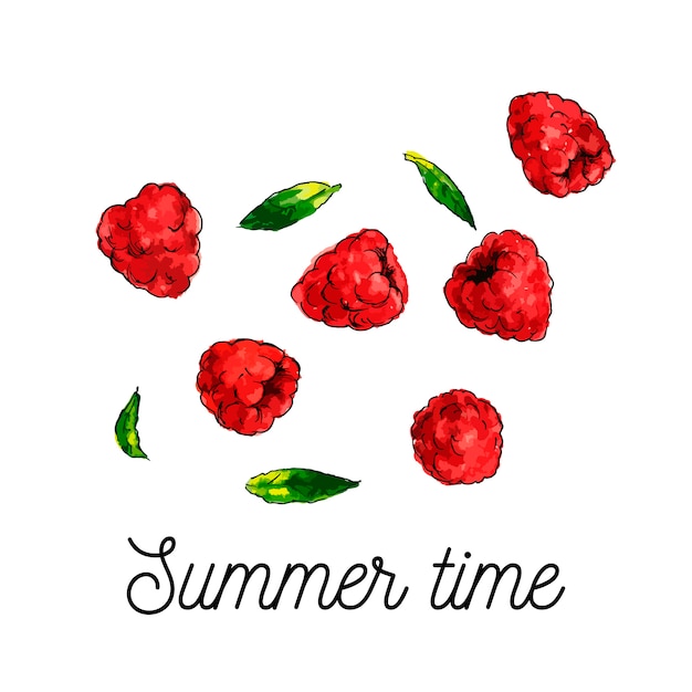 Raspberry watercolor illustration  hello summer slogan
