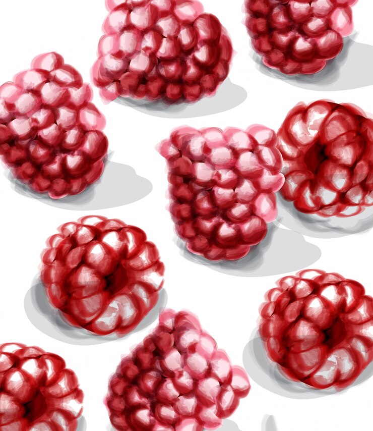 Vector raspberry watercolor
