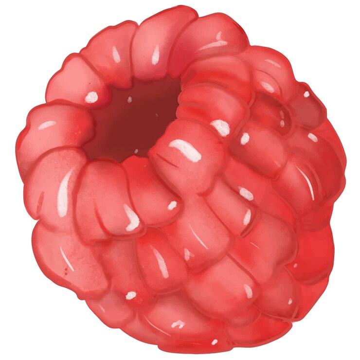 Vector raspberry