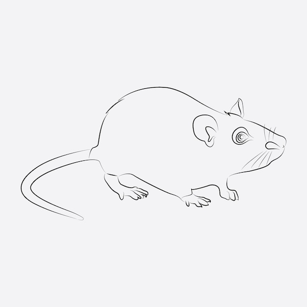 Vector rat animal line art