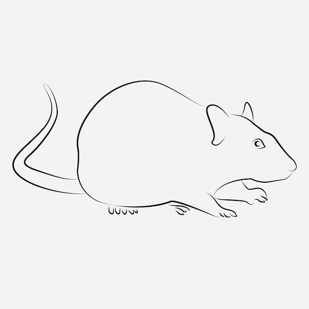 Vector rat animal line art