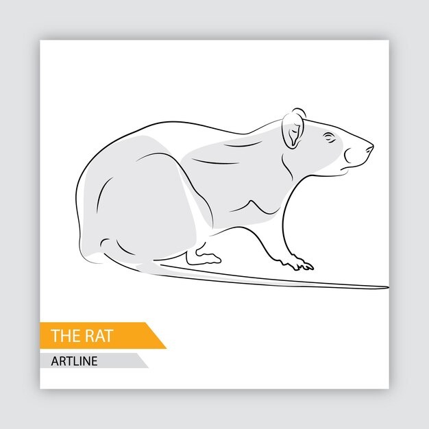 Vector rat artline animal wildlife vector