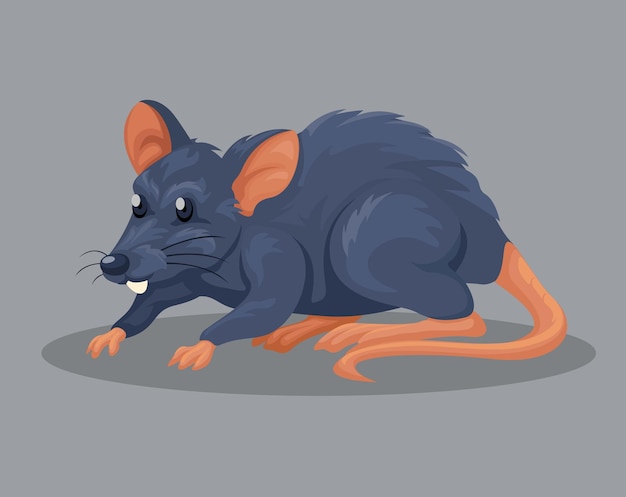 Vector rat or black mouse animal species character cartoon illustration vector