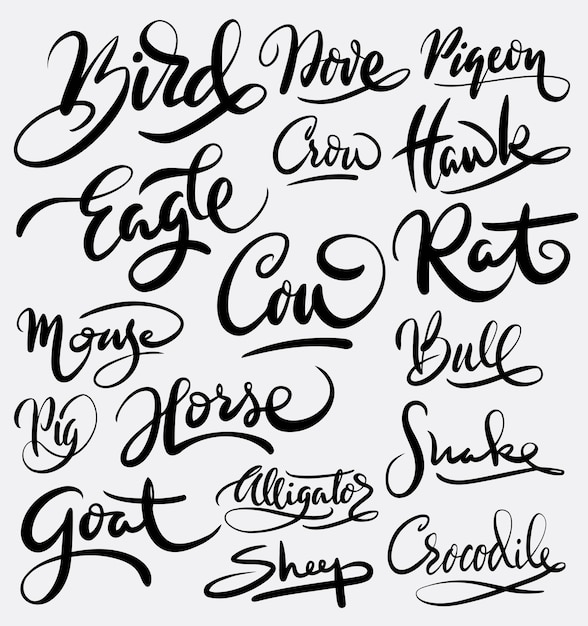 Rat and eagle bird handwriting calligraphy