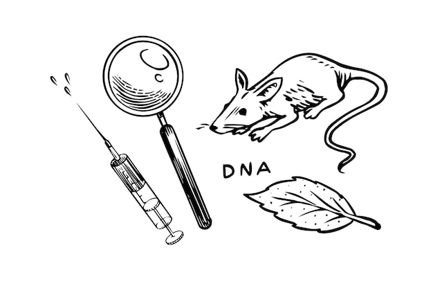 Rat en spuit en vergrootglas chemische laboratoriumexperimenten muis in medisch biologisch