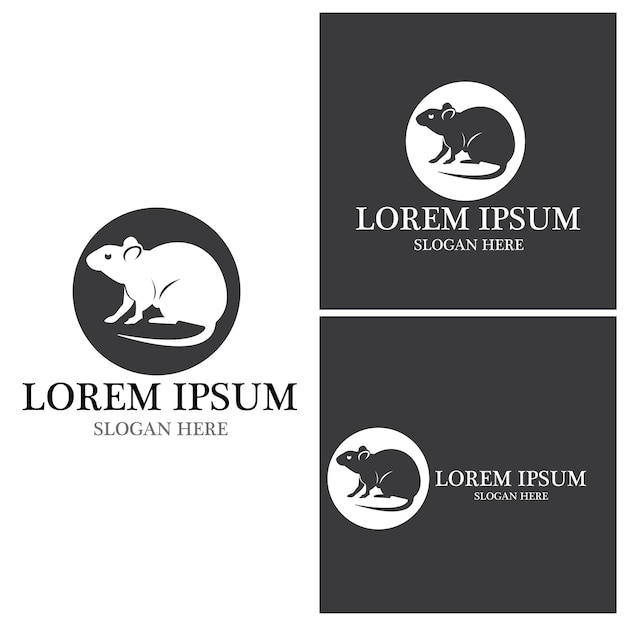 Rat icon and symbol vector illustration