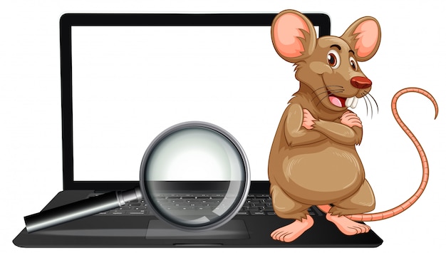 Vector a rat on laptop and magnifying glass