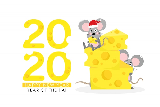 Rat met kaasgroet voor 2020