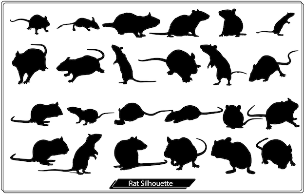 Rat and mouse collection - vector silhouette