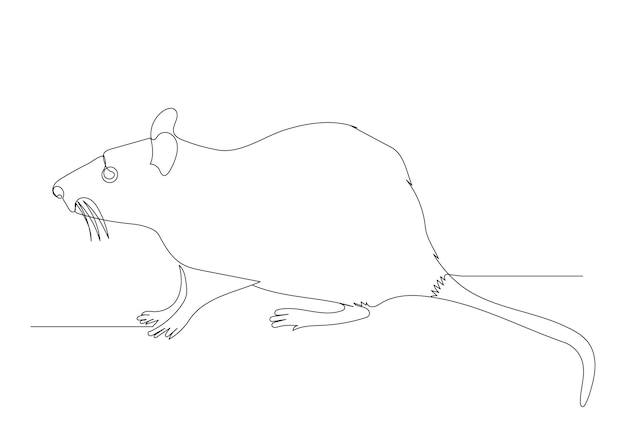 Rat one continuous line drawing isolated vector