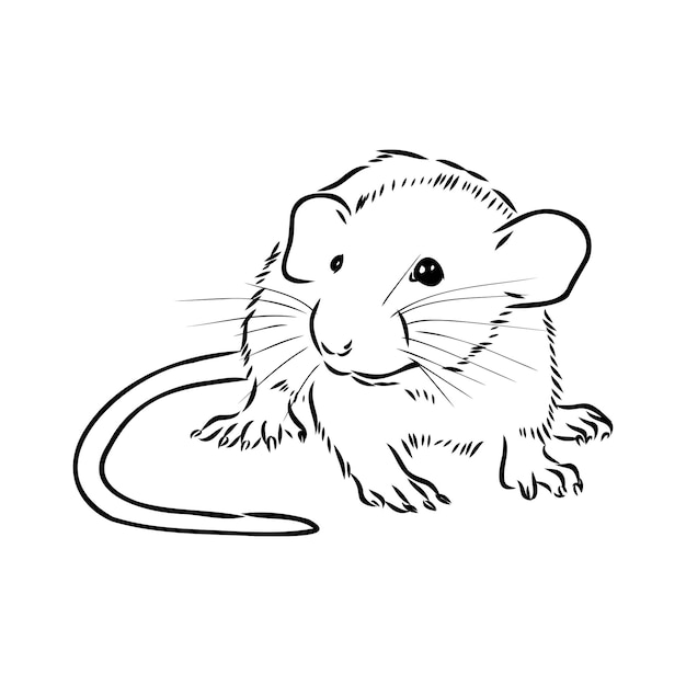 Rat schets met de hand getekend zwart-wit vectorillustratie