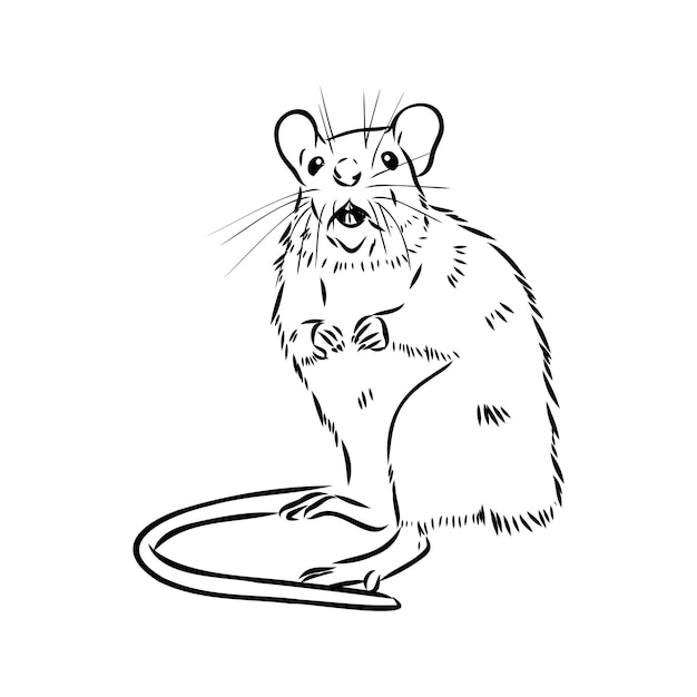 Rat schets met de hand getekend zwart-wit vectorillustratie