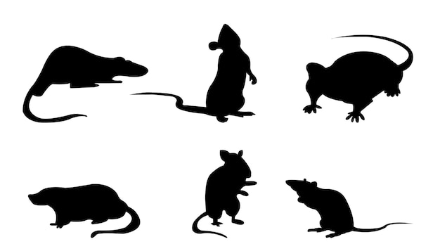 Vector rat silhoutte