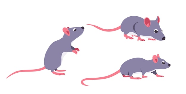 rat Vector illustration cartoon flat icon isolated on white