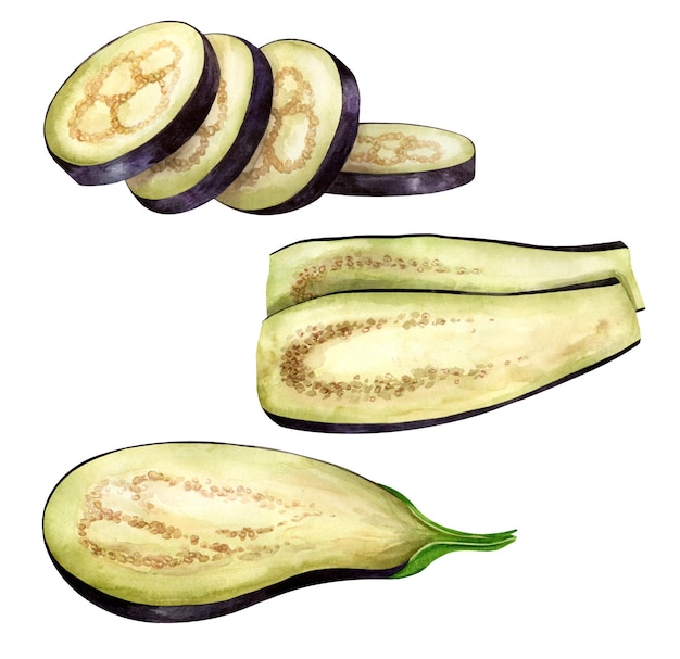 Vector rauwe aubergine halve en plakjes waterverf illustratie geschikt voor menu recept en kookboek