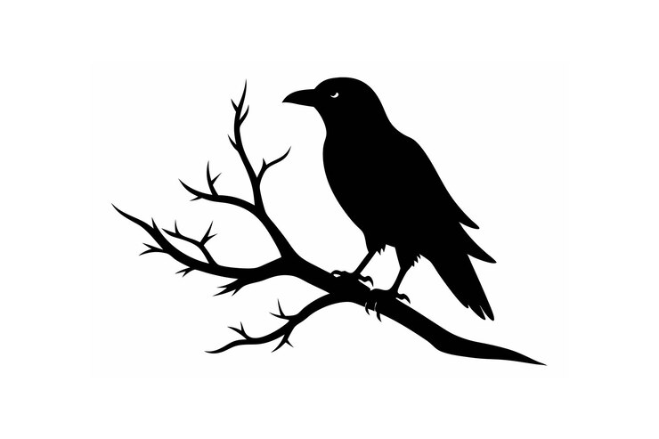 Vector raven bird silhouette on tree branch vector
