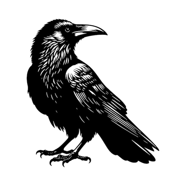 鳥のシルエットベクトルイラスト