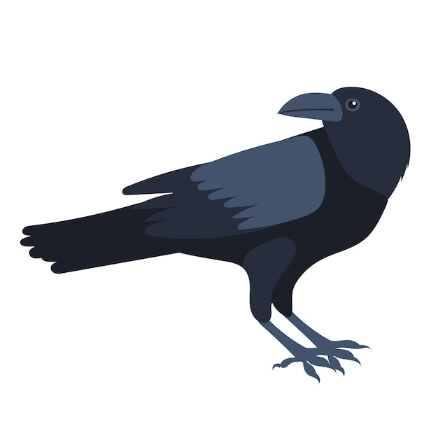 Vector raven flat design isolated vector