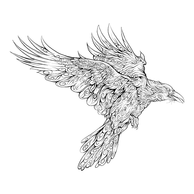 Raven flying in hand drawing