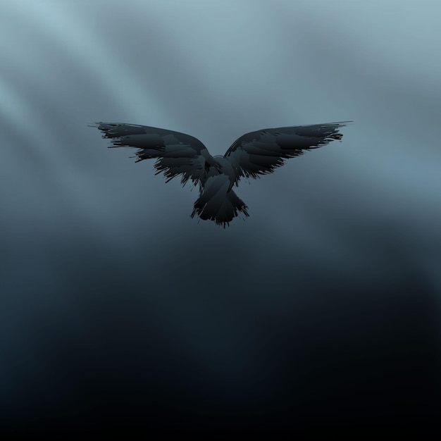 raven in the sky