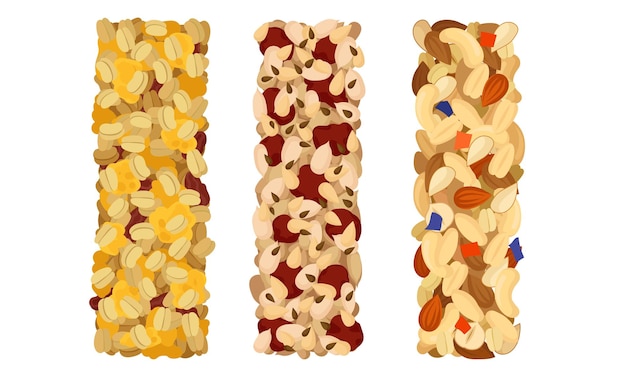 Vector raw bars or sweet granola bars with dried fruits and nuts vector set