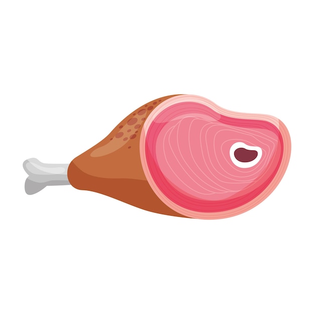 Vector raw beef leg cartoon