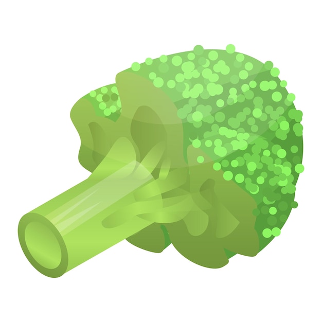 Vector raw broccoli icon isometric of raw broccoli vector icon for web design isolated on white background