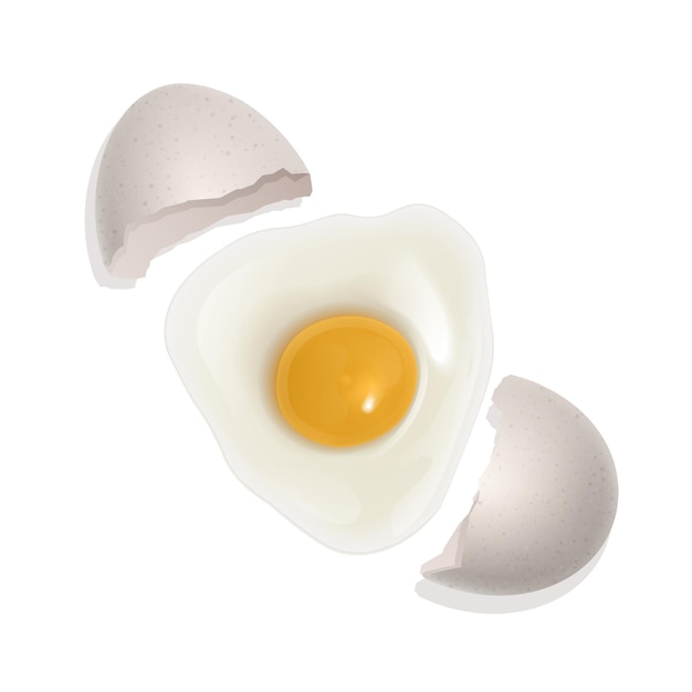 The raw chicken egg, broken egg. Healthy food